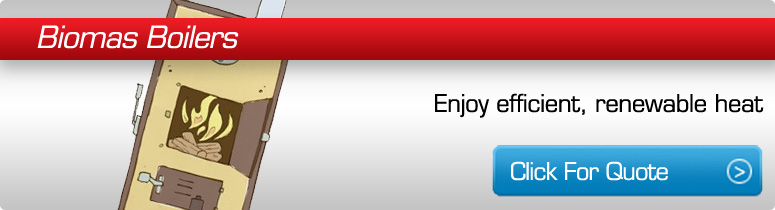 Biomass Boilers – Enjoy efficient, renewable Heat!